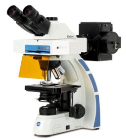 Euromex Fluorescence Microscope