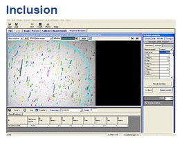 Inclusion