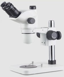 Stereo Microscope