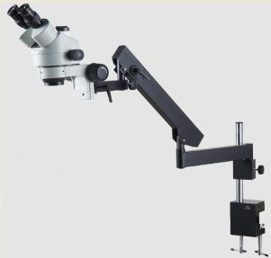 Articulated Stand