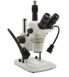 Vision Stereo Microscope
